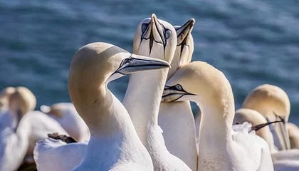 kaiyun中国官方网站-意甲天气影响比赛，足球也有“天气”因素，意甲日程