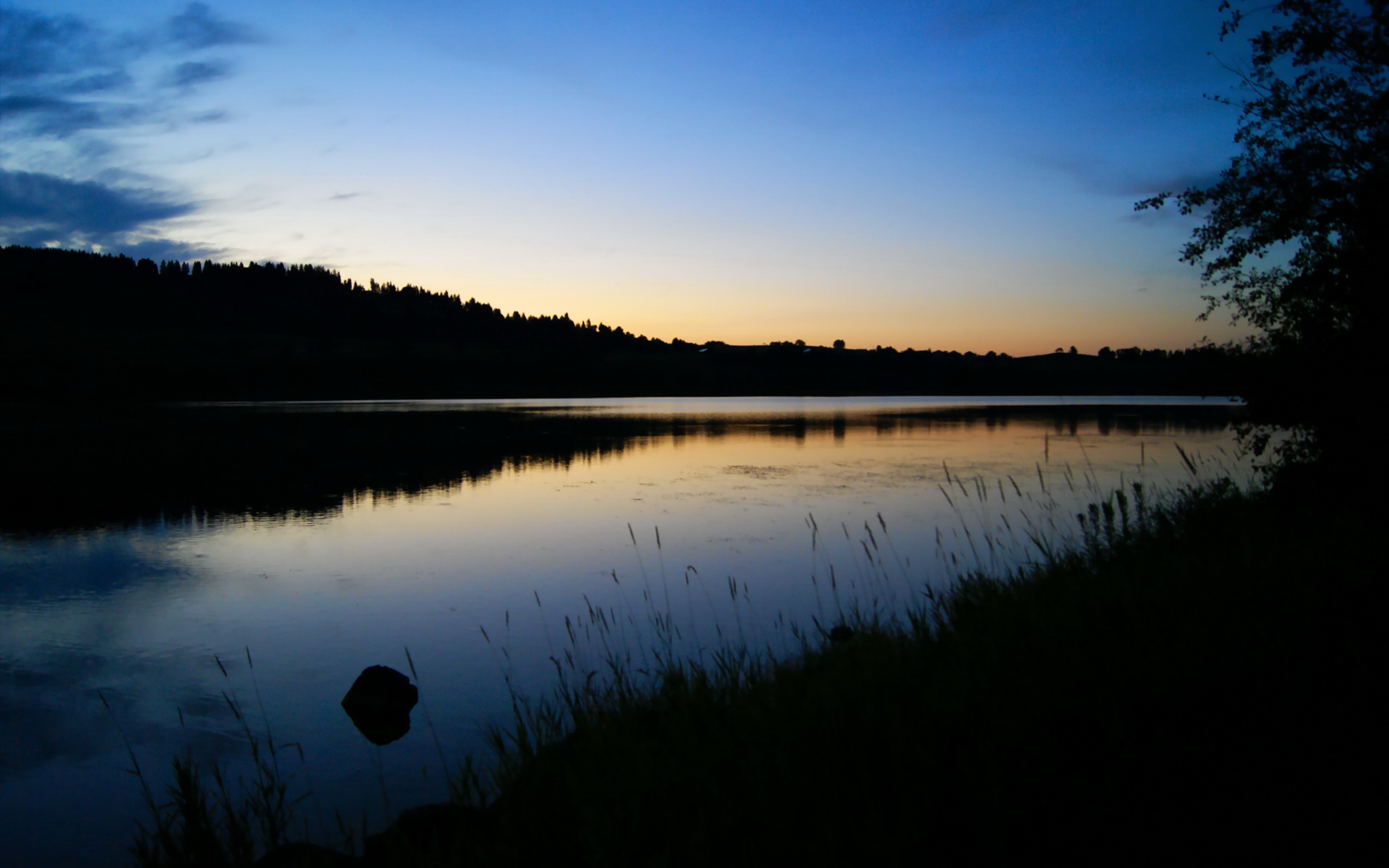 开云网站-“夜色狂飙：夜间赛段的惊悚体验”，夜色啤酒怎么样