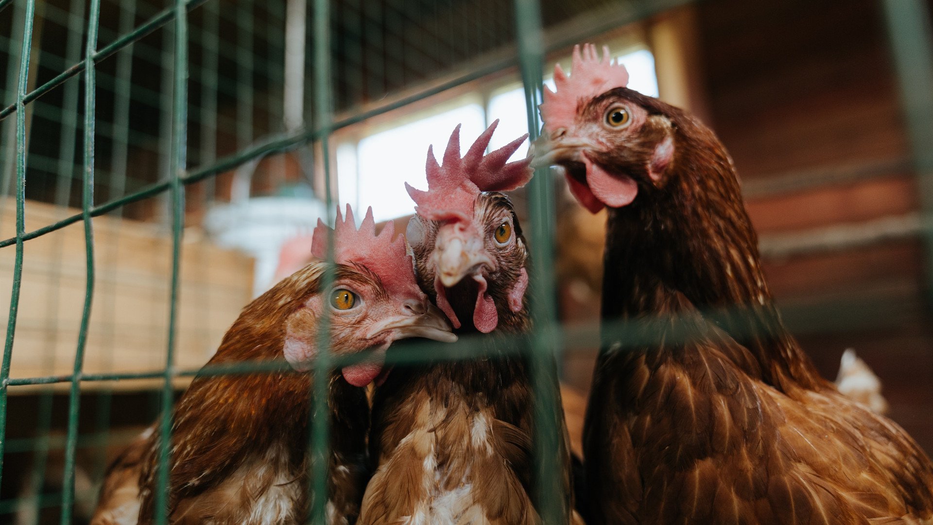 开云体育APP下载-《CS_GO的终极较量，豪强争锋，谁能夺冠？》，cs go排名