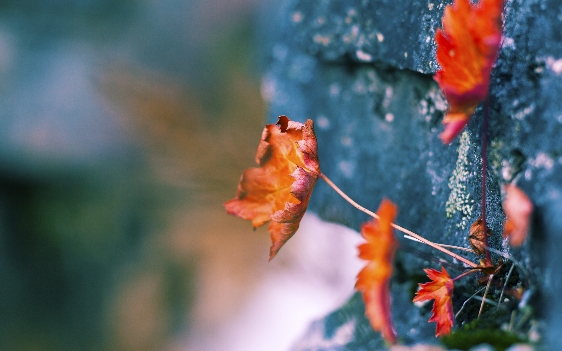 开云官网在线-中国足球裁判队伍国际交流合作不断深化，判罚水平逐步接轨国际标准