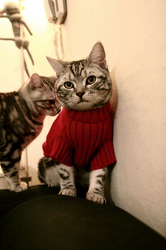 开云官方-全国青少年“篮球文化创意展”在南京盛大举行，激发青少年文化自信