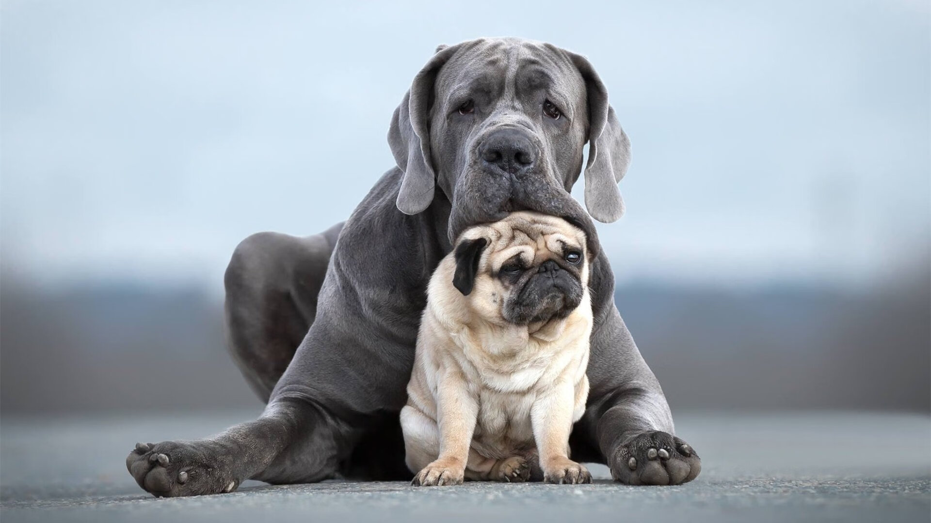 开云体育视频直播-广州队青训梯队夺得U19全国冠军，广州队青训全面压缩
