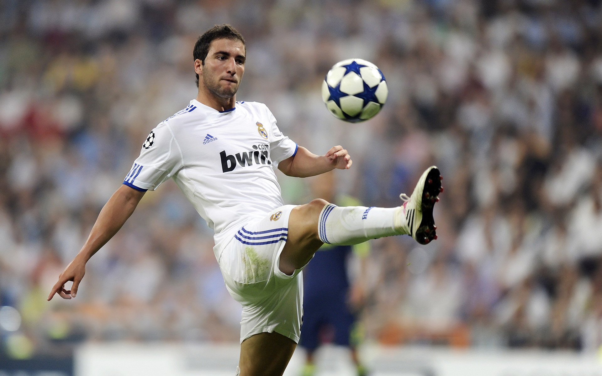 开云官网登录-未来足球场馆将实现“绿色能源+智能控制”全链路绿色升级，新型足球场