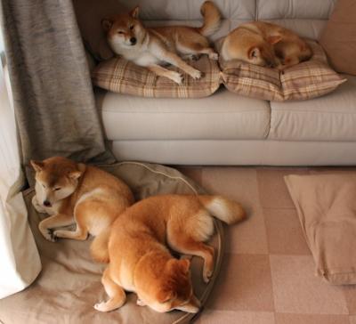 开云体育视频直播-联赛精彩统计：破纪录的瞬间，比赛破纪录