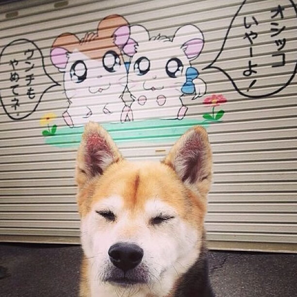 开云官网APP下载-PSG.LGD体能训练成果显著，gpp体能训练