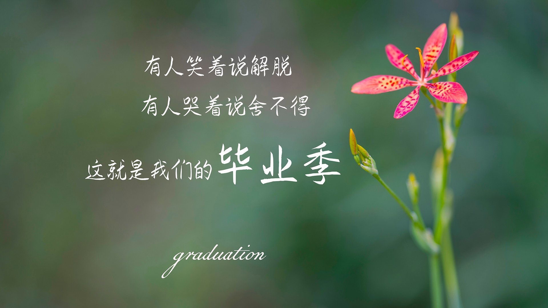 kaiyun体育综合-原州东浦新世代替补席深度提升，东原地产新蒲