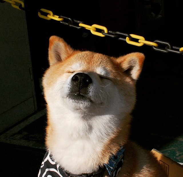 开云网页版-球员家属是否应参与文化建设活动，球员家长