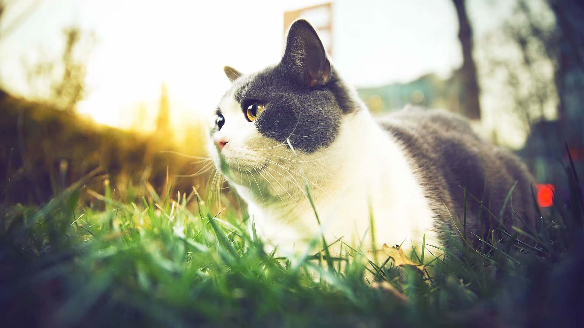 kaiyun官方入口登录-石油人季中引援助力球队，石油人什么意思