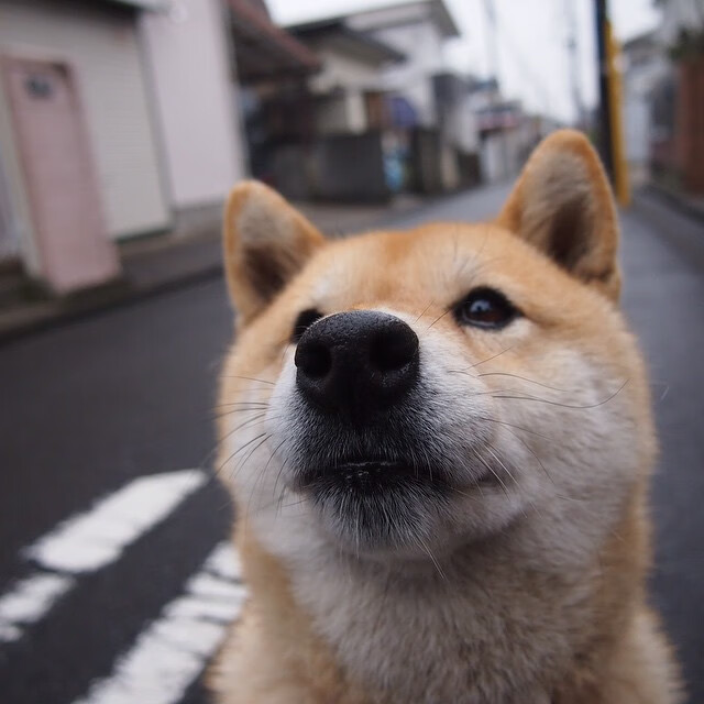 开云网页版-维达德卡萨布兰卡主场迎战劲敌，德比战备受关注，大卡萨布兰卡大区