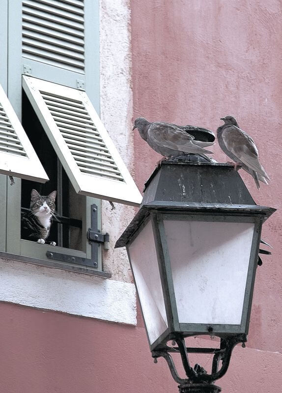 开云体育网页版入口-西雅图海湾人备战中北美洲及加勒比海冠军杯，目标夺冠，西雅图海湾人是什么球队