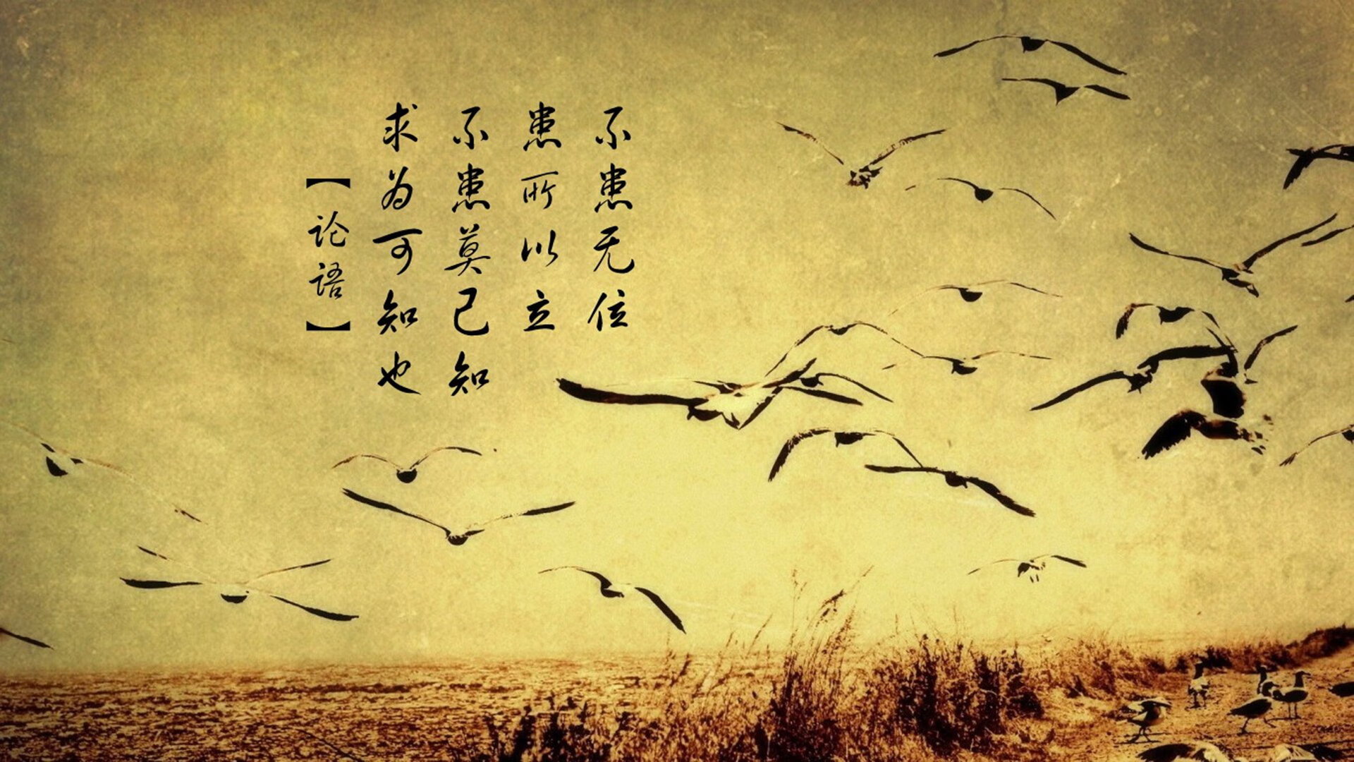 西甲青训营中引入比赛情绪触发测试评估心理调节机制,西甲青训政策