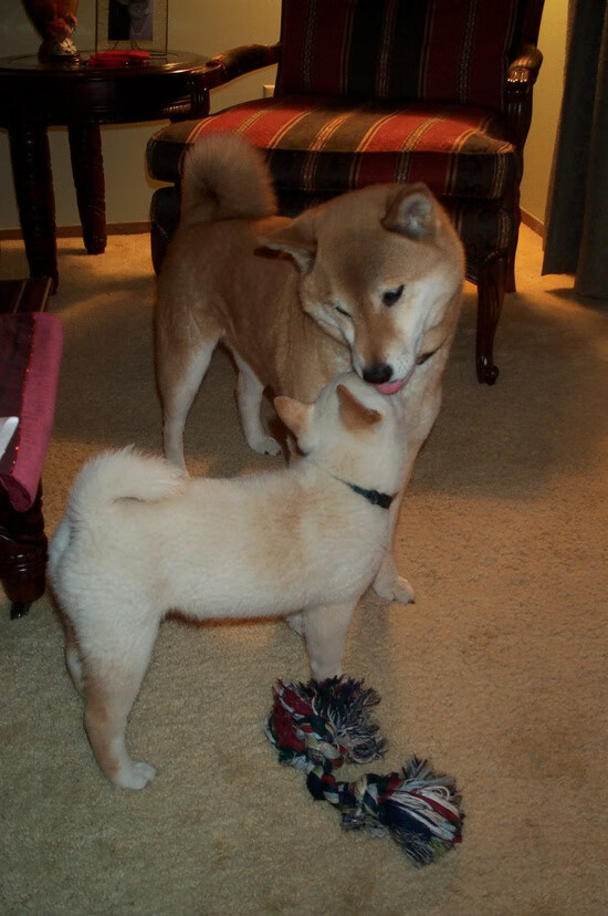 开云体育官方网入口-仰泳出水角度优化，助力提速，仰泳出发技巧