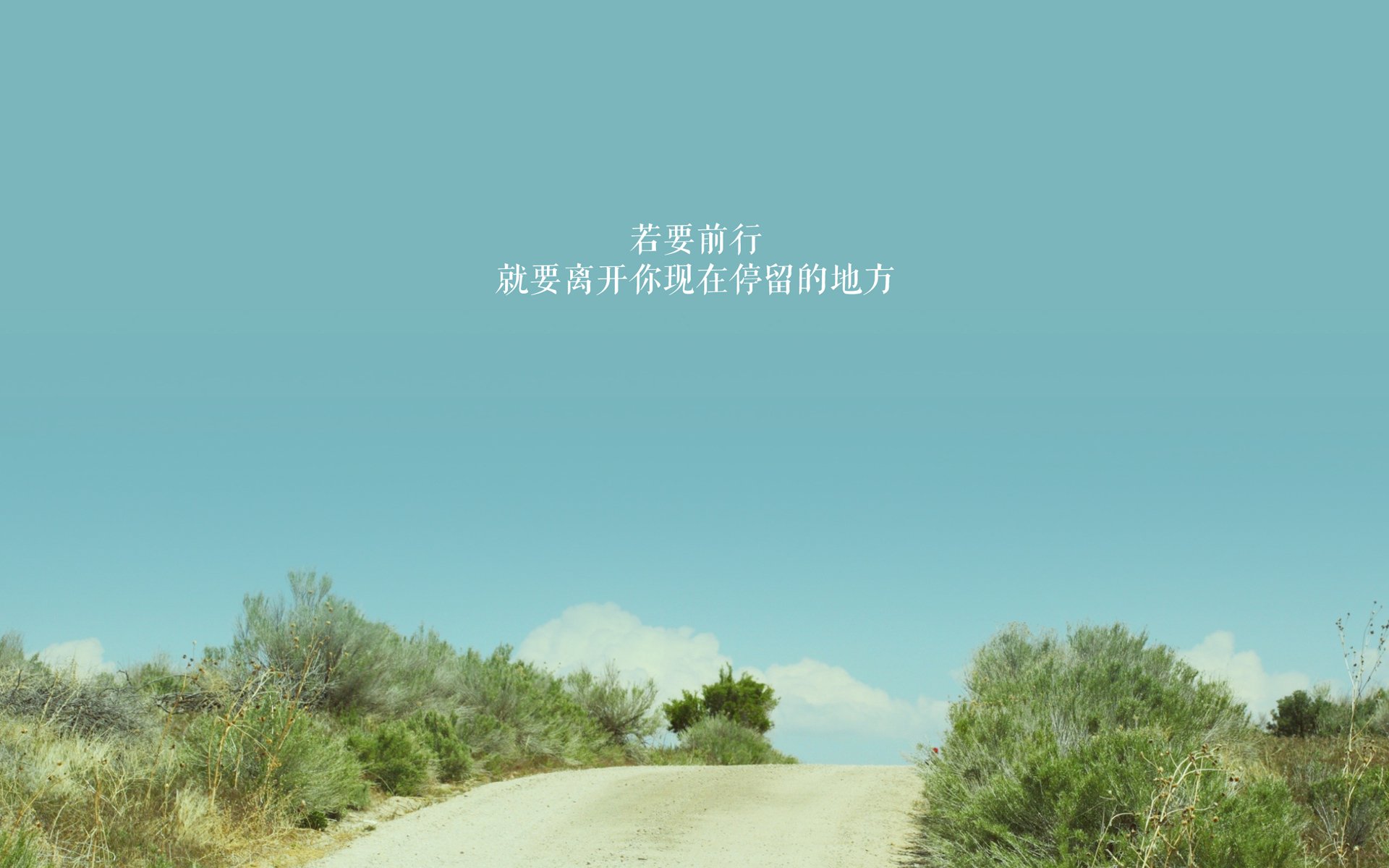 开云网页版-深圳领航队提升换防速度强化整体防守，深圳领航队女领队