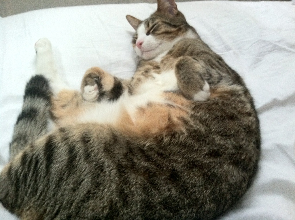 开云·Kaiyun网页版-女子篮球训练强化对抗能力提升比赛竞争力，女子篮球队训练内容