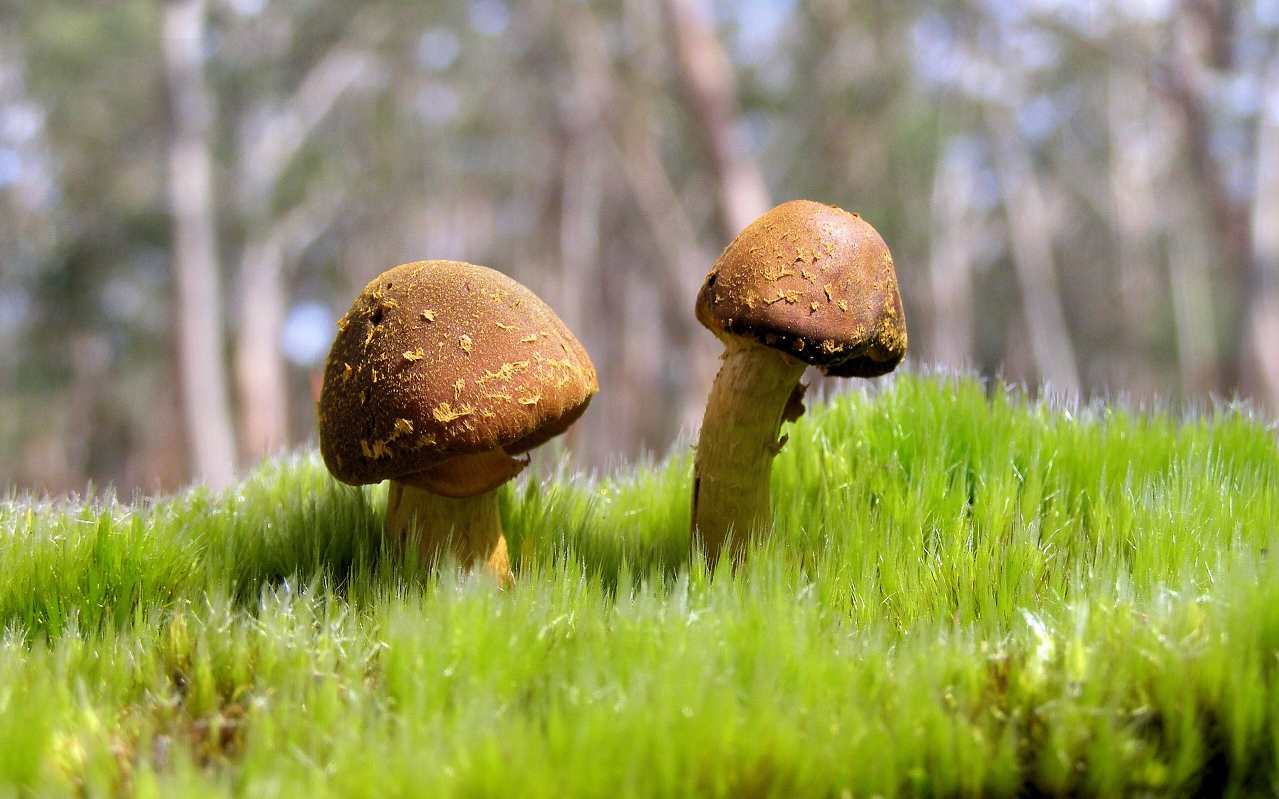 开云首页登录-巴特尔通过细致的防守和坚韧的精神，带领袋鼠队稳固防线，巴特尔吧