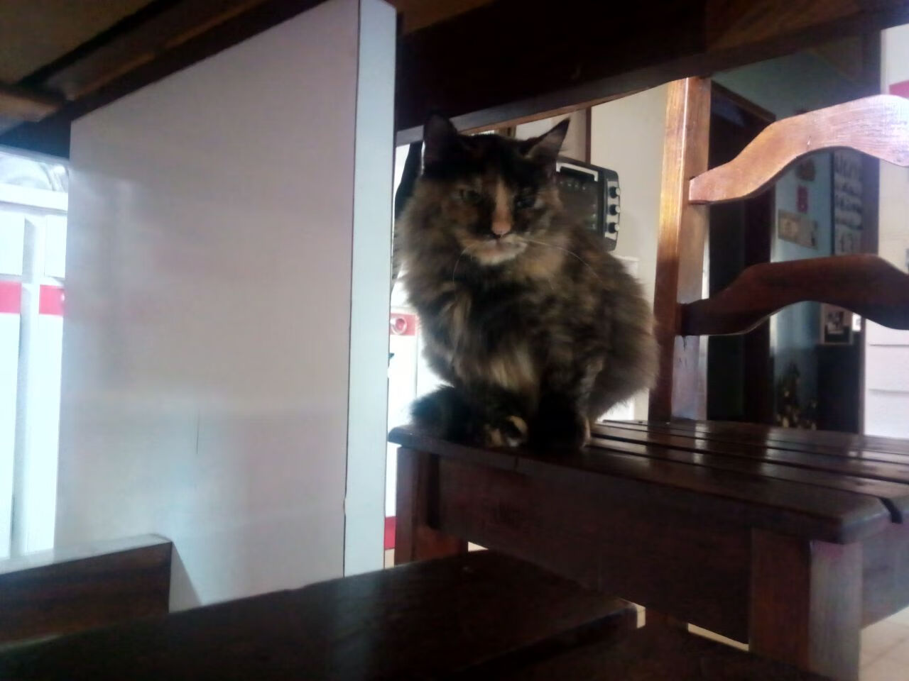 开云平台-朱婷专访中分享比赛中心态调整技巧，朱婷发挥