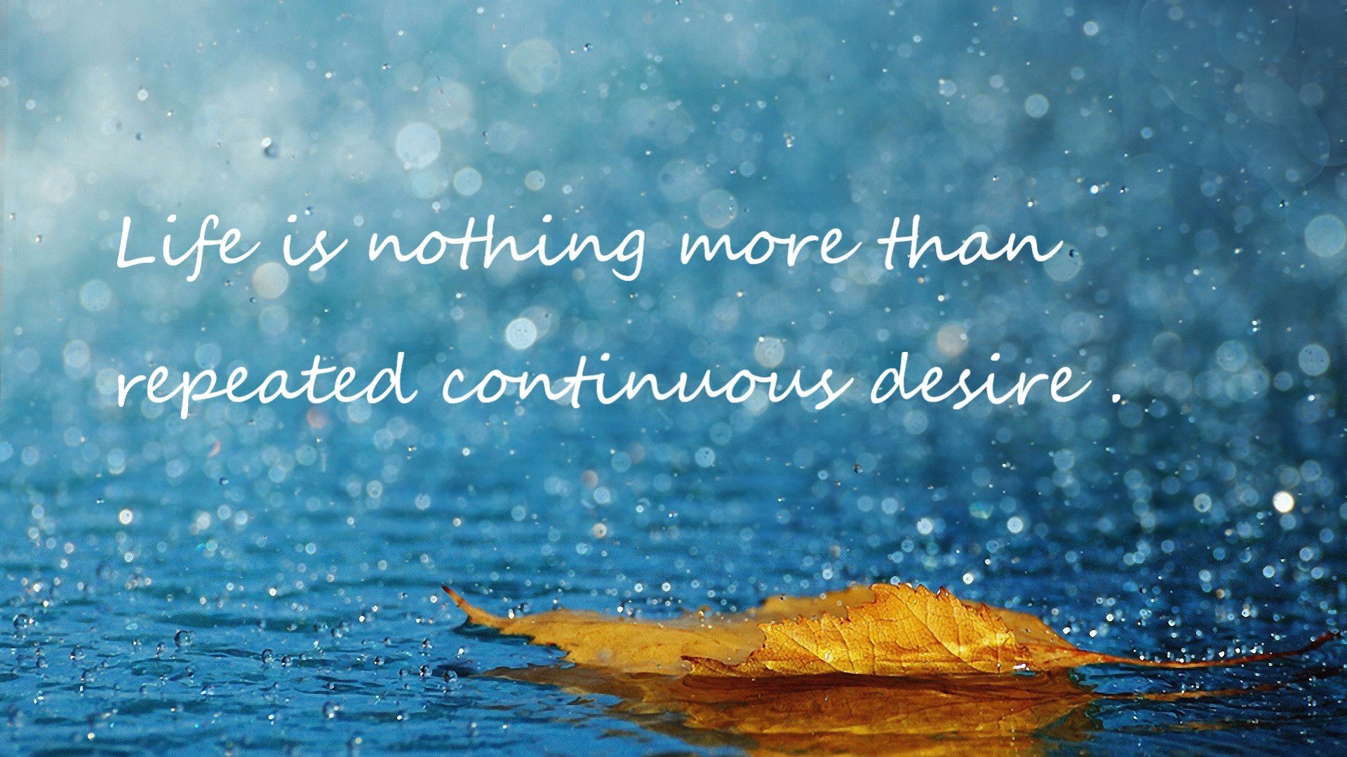 开云官网APP下载-荷兰队在欧洲预赛中表现优异，晋级希望提升