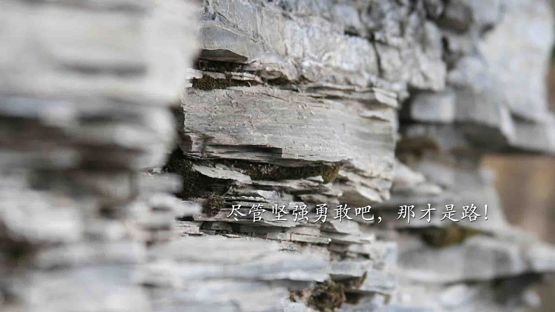 开云-黄蜂赛季备战日程公布每日安排紧凑高效，黄蜂新赛季